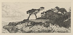 The Ostrich, Ernest Haskell American, Etching
