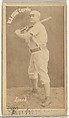 John H. "Jack" Lynch, New York Metropolitans, from the Old Judge series (N172) for Old Judge Cigarettes, Goodwin & Company, Albumen photograph