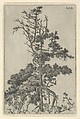 Tree Top, Ernest Haskell American, Etching