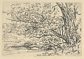 Willow and Water, Ernest Haskell American, Etching