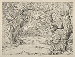 Winnegance Willows, Ernest Haskell  American, Etching