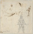 Studies for Hercules Holding a Club Seen in Frontal View, Male Nude Unsheathing a Sword, and the Movements of Water (Recto); Study for Hercules Holding a Club Seen in Rear View (Verso), Leonardo da Vinci (Italian, Vinci 1452–1519 Amboise), Pen and brown ink; soft black chalk or charcoal (recto); soft black chalk or charcoal (verso)