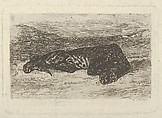 Tiger Lying in the Desert, Eugène Delacroix  French, Etching, roulette, bitten tone, drypoint; sixth state