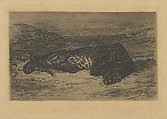 Tiger Lying in the Desert, Eugène Delacroix  French, Etching, roulette, bitten tone, and drypoint on thin laid beige tracing paper; third state of six