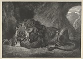 Lion of the Atlas Mountains, Eugène Delacroix French, Lithograph; probably second state of four