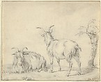 A Standing and a Lying Goat Near a Small Tree, Pieter Gerardus van Os Dutch, Black chalk