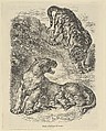 Tigress Attacked by a Tiger While Nursing her Young, from "Le Magasin Pittoresque", Auguste Pontenier French, Wood engraving; second and final state