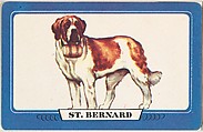 St. Bernard, bakery insert card from the Dogs series (D26), issued by the Omar Baking Company, Issued by Omar Baking Company, Commercial color lithograph
