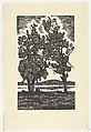 Old Willows, Louis Lozowick American, born Ukraine, Wood engraving