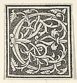 Initial letter C on patterned background, Anonymous, Italian, 16th century Italian, Woodcut, criblé ground