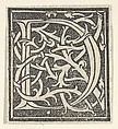Initial letter D on patterned background, Anonymous, Italian, 16th century Italian, Woodcut, criblé ground