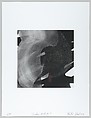 American Abstract Artists 75th Anniversary Print Portfolio 2012, American Abstract Artists, A portfolio of 48 ink jet prints