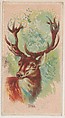 Stag, collector card from the Animal Pictures series (D8), issued by the Weber Baking Company to promote Onist Milk and Pullman Bread, Weber Baking Company  American, Commercial color lithograph