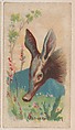Aard-Vark, collector card from the Animal Pictures series (D8), issued by the Weber Baking Company to promote Onist Milk and Pullman Bread, Weber Baking Company American, Commercial color lithograph