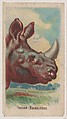 Indian Rhinoceros, collector card from the Animal Pictures series (D8), issued by the Weber Baking Company to promote Onist Milk and Pullman Bread, Weber Baking Company American, Commercial color lithograph