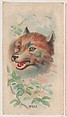 Wolf, collector card from the Animal Pictures series (D8), issued by the Weber Baking Company to promote Onist Milk and Pullman Bread, Weber Baking Company American, Commercial color lithograph