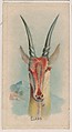 Eland, collector card from the Animal Pictures series (D8), issued by the Weber Baking Company to promote Onist Milk and Pullman Bread, Weber Baking Company  American, Commercial color lithograph