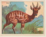 Guib, collector card from the Animals series (D9), issued by the Weber Baking Company to promote Onist Milk and Pullman Bread, Weber Baking Company  American, Commercial color lithograph