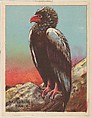 Bateleur Eagle, collector card from the Animals series (D9), issued by the Weber Baking Company to promote Onist Milk and Pullman Bread, Weber Baking Company  American, Commercial color lithograph