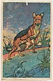 Black-Backed Jackal, collector card from the Animal's Pictures series (D12), issued by Roulstons Bread, Roulstons Bread American, Commercial color lithograph