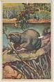 Beaver, collector card from the Animal's Pictures series (D12), issued by Roulstons Bread, Roulstons Bread American, Commercial color lithograph