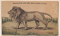 Lion, collector card from the Animal Cutouts series (D11), issued by the R. H. Wool Steam Bakery to promote their product, Wool's Ithaca Crackers, R. H. Wool Steam Bakery American, Commercial color lithograph