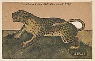 Leopard, collector card from the Animal Cutouts series (D11), issued by the R. H. Wool Steam Bakery to promote their product, Wool's Ithaca Crackers, R. H. Wool Steam Bakery American, Commercial color lithograph