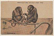 Monkeys, collector card from the Animal Cutouts series (D11), issued by the R. H. Wool Steam Bakery to promote their product, Wool's Ithaca Crackers, R. H. Wool Steam Bakery American, Commercial color lithograph