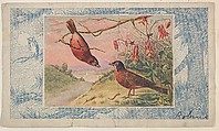 Robins, collector card from the Bird Pictures series (D18), issued by the Schulze Baking Company to promote their product, Butter-Krust Bread, Issued by Schulze Baking Company, Commercial color lithograph