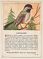 Chickadee, No. 8, collector card from the Bird Cards series (D16), issued by the Krug Baking Company, Krug Baking Company American, Commercial color lithograph
