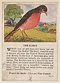 The Robin, No. 11, collector card from the Bird Cards series (D16), issued by the White Baking Company, White Baking Company, St. Louis  American, Commercial color lithograph