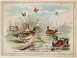 Ducks, collector card from the Birds and Greeting Cards series (D17), issued by the Heydt Baking Company, Heydt Bakery Company American, Commercial color lithograph