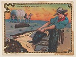 Skinning a Buffalo, insert card from The Cowboy, His Life and Fun series (D25), issued by the Weber Baking Company, Weber Baking Company  American, Commercial color lithograph