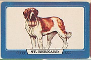 St. Bernard, bakery insert card from the Dogs series (D26), issued by the Omar Baking Company, Issued by Omar Baking Company, Commercial color lithograph