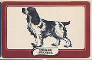 Cocker Spaniel, bakery insert card from the Dogs series (D26), issued by the Omar Baking Company, Omar Baking Company  American, Commercial color lithograph