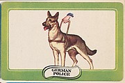 German Police, bakery insert card from the Dogs series (D26), issued by the Omar Baking Company, Omar Baking Company  American, Commercial color lithograph