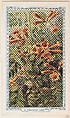 19. Trumpet Vine, bakery insert card from the Flower Pictures series (D36), issued by the Freihofer Baking Company, Freihofer Baking Company  American, Commercial color lithograph