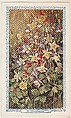 20. Columbine, bakery insert card from the Flower Pictures series (D36), issued by the Freihofer Baking Company, Freihofer Baking Company  American, Commercial color lithograph