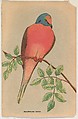 Mourning Dove, issued by Weber Baking Company, Issued by Weber Baking Company, Commercial color lithograph