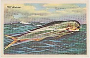 Fish (Dolphin), bakery card from the Speed Pictures series (D39-8), issued by Bell Bakeries, Inc., Bell Bakeries, Inc. American, Commercial color lithograph