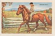 Welsh Pony, bakery card from the Horses series (D39-5), issued by the Gordon Bread Company, Gordon Bread Company American, Commercial color lithograph