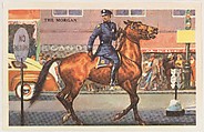 The Morgan, bakery card from the Horses series (D39-5), issued by the Gordon Bread Company, Gordon Bread Company  American, Commercial color lithograph