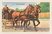The Hackney, bakery card from the Horses series (D39-5), issued by the Gordon Bread Company, Gordon Bread Company  American, Commercial color lithograph