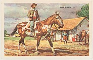 The Criollo, bakery card from the Horses series (D39-5), issued by the Gordon Bread Company, Gordon Bread Company  American, Commercial color lithograph