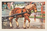 The Clydesdale, bakery card from the Horses series (D39-5), issued by the Gordon Bread Company, Gordon Bread Company  American, Commercial color lithograph