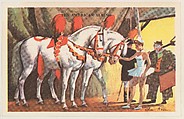 The American Albino, bakery card from the Horses series (D39-5), issued by the Gordon Bread Company, Gordon Bread Company  American, Commercial color lithograph