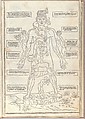 Fasciculo di medicina, Possibly Johannes de Ketham (German, active 15th century), Woodcut