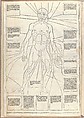 Fasciculo di medicina, Possibly Johannes de Ketham (German, active 15th century), Woodcut