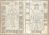 Fasciculo di medicina, Possibly Johannes de Ketham (German, active 15th century), Woodcut