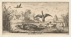 Title Page from "Livre d'Oyseaux" (Book of Birds), Albert Flamen (Flemish, born ca. 1620, active 1648–88), Etching